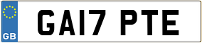 Truck License Plate